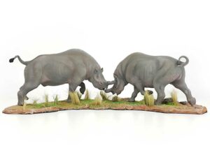 Megacerops Duell, Modell von Sean Cooper