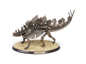 Stegosaurus Skelett, 3-D Dinosaurier Puzzle