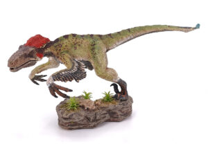 Utahraptor 'Wind Hunter', Dinosaurier Modell von Rebor - Repaint