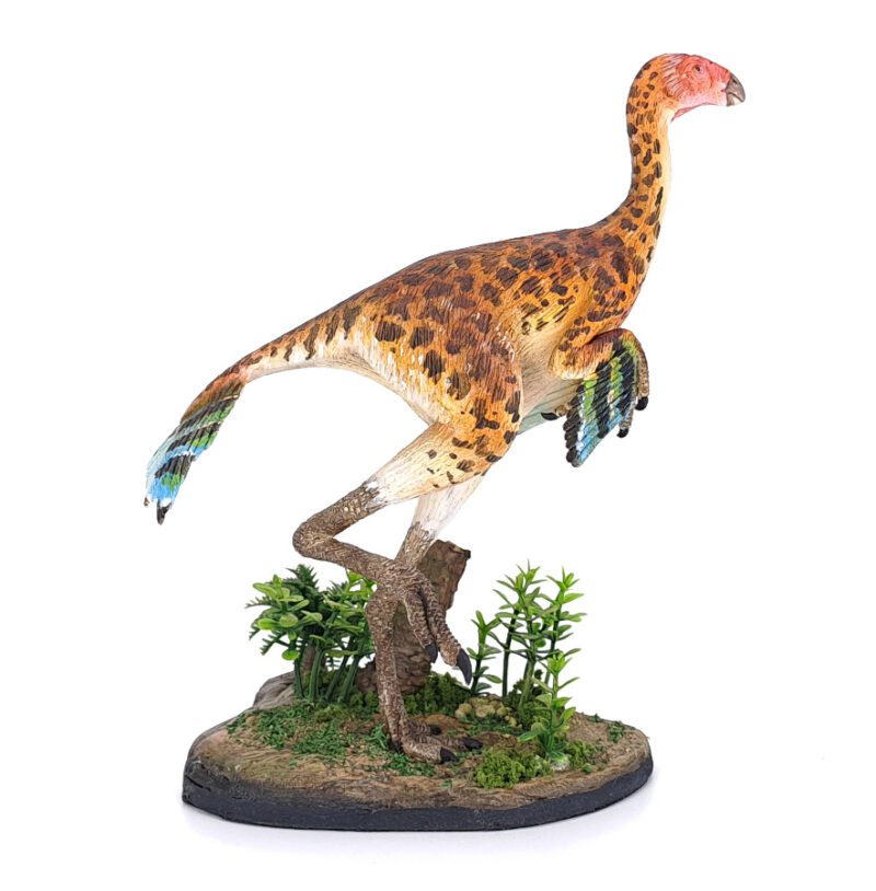 Caudipteryx, gefleckt, Dinosaurier Modell von Galileo Hernandez