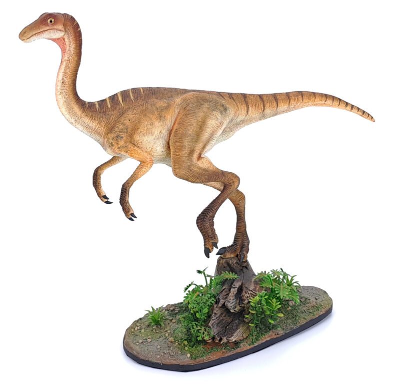 Gallimimus, hellbraun, Dinosaurier Modell von Galileo Hernandez – Bild 2