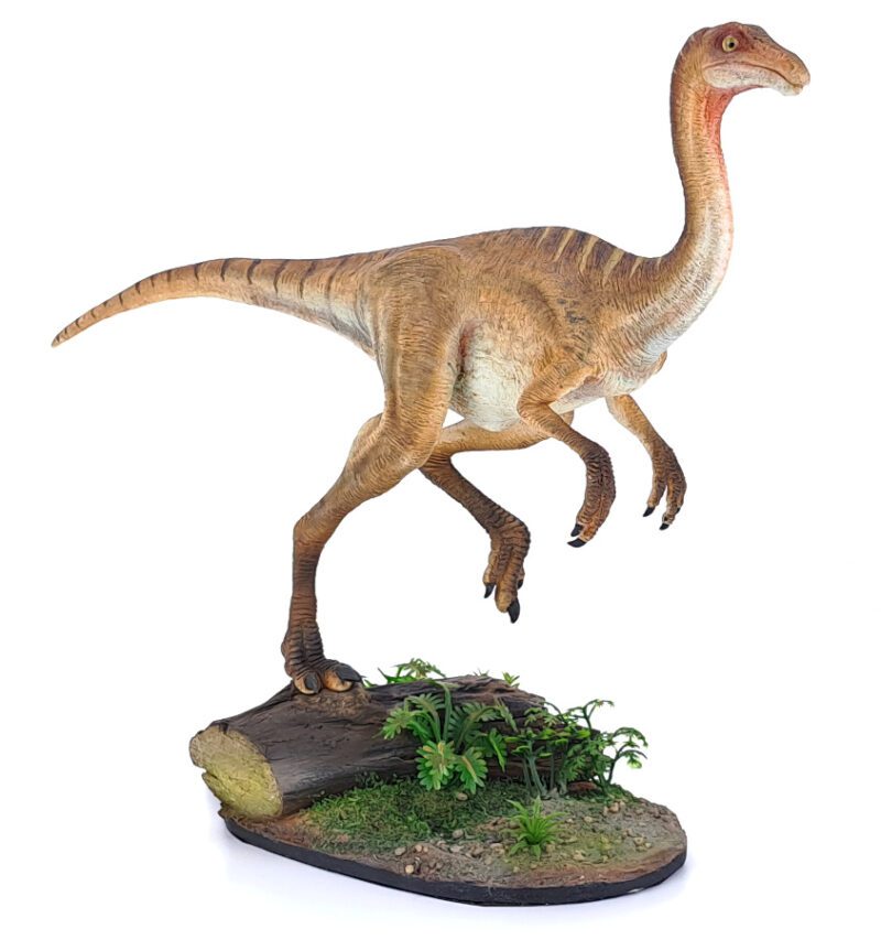 Gallimimus, hellbraun, Dinosaurier Modell von Galileo Hernandez – Bild 4