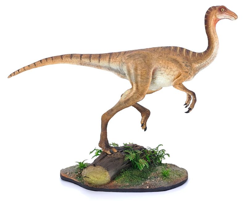 Gallimimus, hellbraun, Dinosaurier Modell von Galileo Hernandez – Bild 5