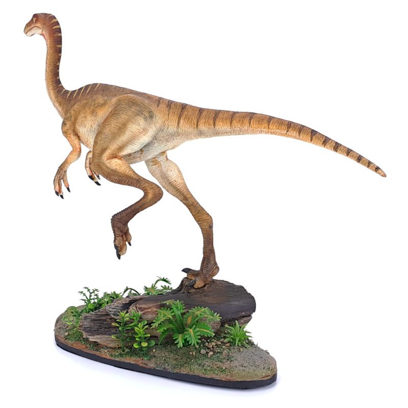 Gallimimus, hellbraun, Dinosaurier Modell von Galileo Hernandez – Bild 7