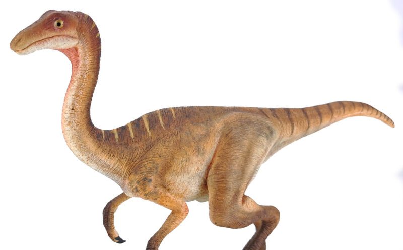 Gallimimus, hellbraun, Dinosaurier Modell von Galileo Hernandez – Bild 8