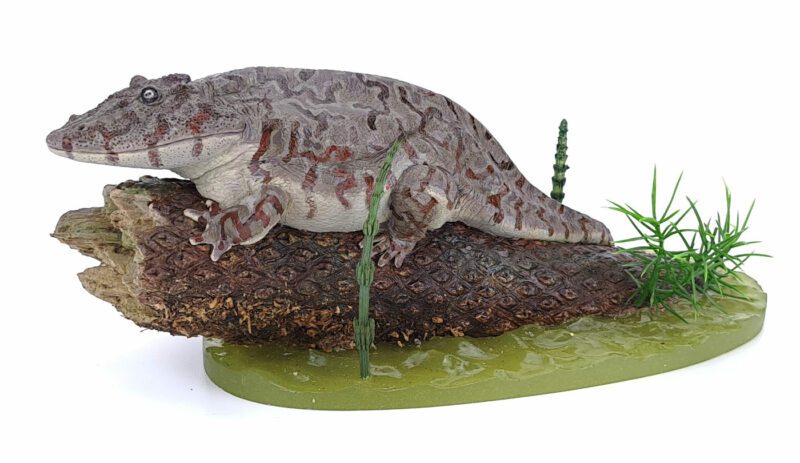 Eryops, gemustert, Amphibie von Vitali Klatt