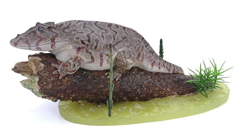 Eryops, gemustert 2, Amphibie von Vitali Klatt