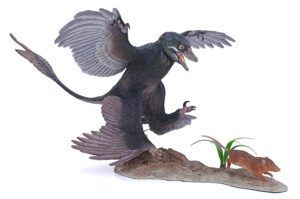 Microraptor jagt Eomaia, Dinosaurier Diorama, Schwarz