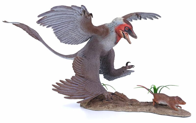 Microraptor jagt Eomaia, Dinosaurier Diorama, Grau