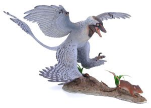 Microraptor jagt Eomaia, Dinosaurier Diorama, Hellgrau